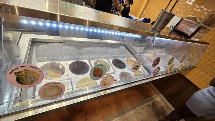 Van Leeuwen Ice Cream Picture 4