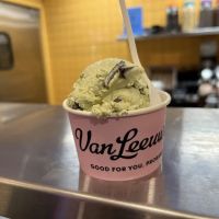Van Leeuwen Ice Cream ico