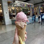Davey's Ice Cream