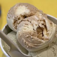 Van Leeuwen Ice Cream ico
