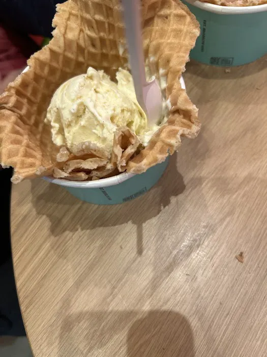 Van Leeuwen Ice Cream Picture 6