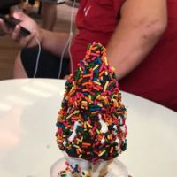 Big Gay Ice Cream Shop ico