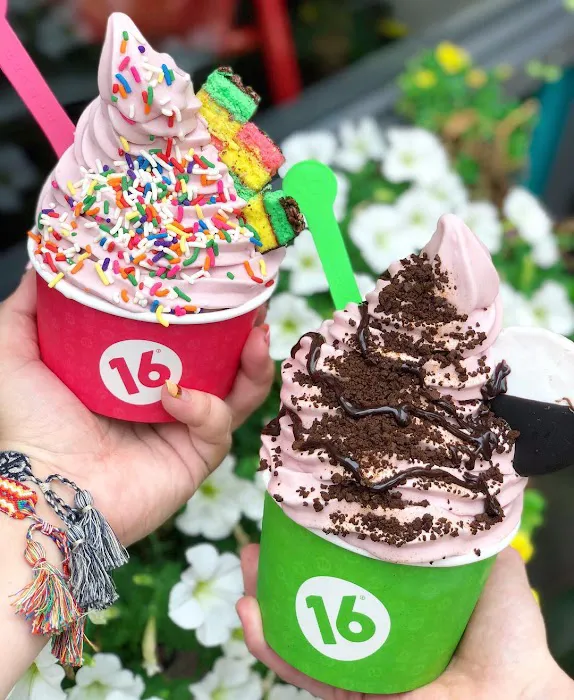 16 Handles Picture 9