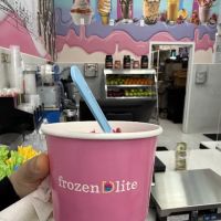 Frozen City ico