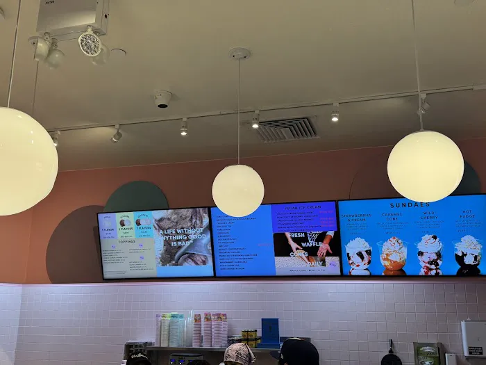 Van Leeuwen Ice Cream Picture 1