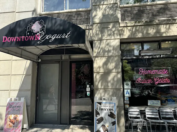 Downtown Yogurt Tribeca Picture 6