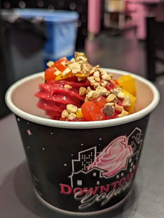 Downtown Yogurt Tribeca Picture 7