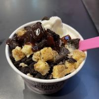 Downtown Yogurt Tribeca ico