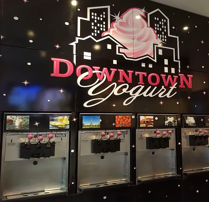 Downtown Yogurt Tribeca Picture 10