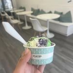 Stuffed Ice Cream