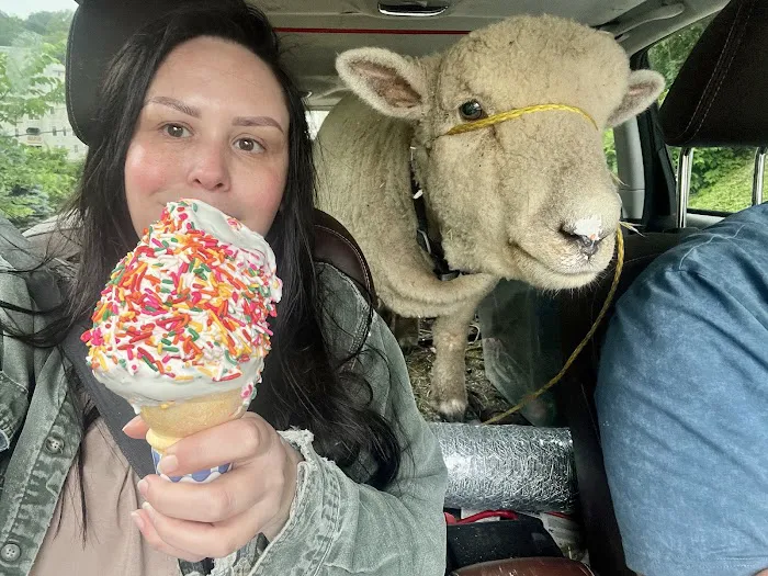 Zippers Mobile Ice Cream Picture 1