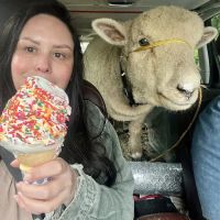 Zippers Mobile Ice Cream ico