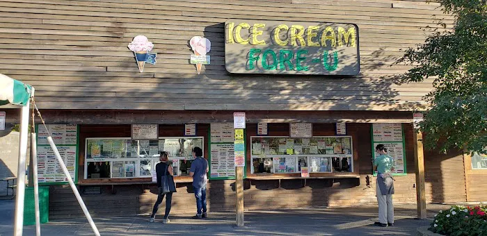 Ice Cream Fore-U Picture 3