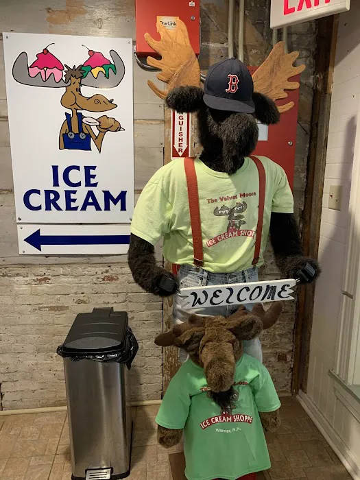 The Velvet Moose Ice Cream Shoppe Picture 10
