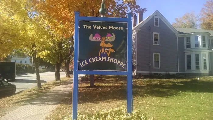 The Velvet Moose Ice Cream Shoppe Picture 4
