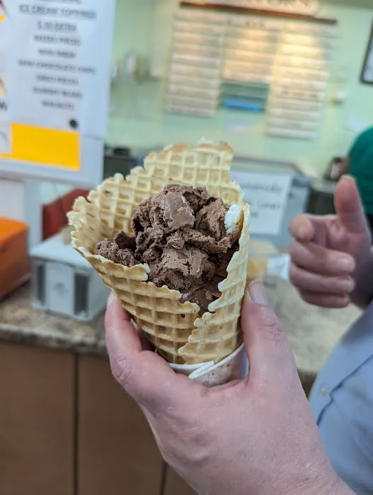 The Velvet Moose Ice Cream Shoppe Picture 5