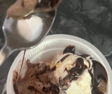 The Velvet Moose Ice Cream Shoppe