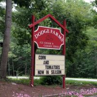 Dodge's Ice Cream Stand ico