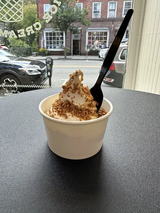 Woodstock Scoops Picture 2