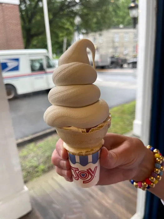 Woodstock Scoops Picture 4