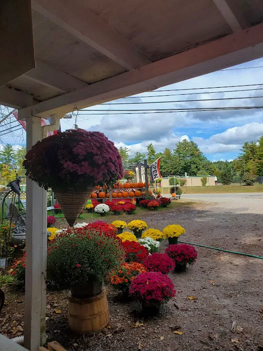 Half Mast Creamery and Greaneys Fruits & Vegetables Picture 5