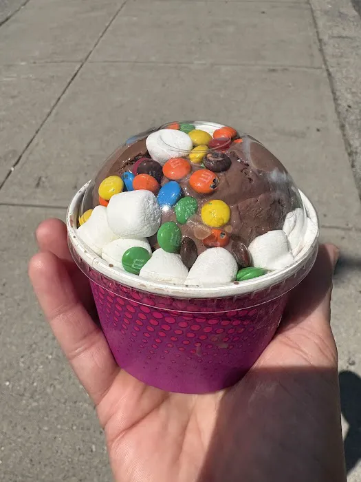 Scoop’s Scoopz Picture 1
