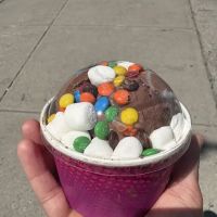 Scoop’s Scoopz ico