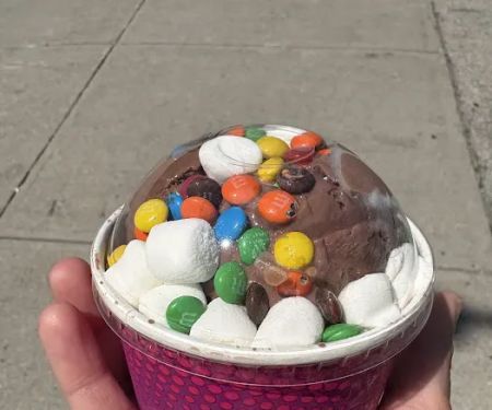 Scoopu2019s Scoopz