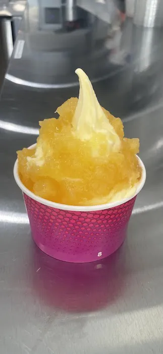 Scoop’s Scoopz Picture 4