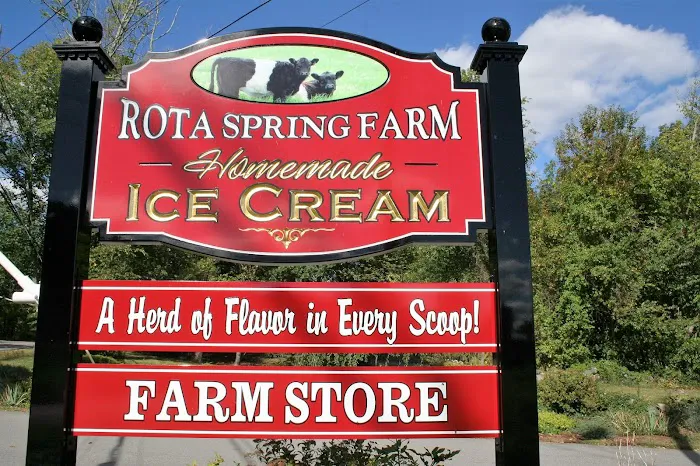 Rota Spring Ice Cream Picture 2