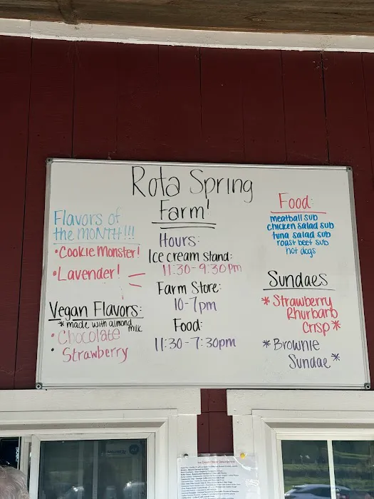 Rota Spring Ice Cream Picture 4