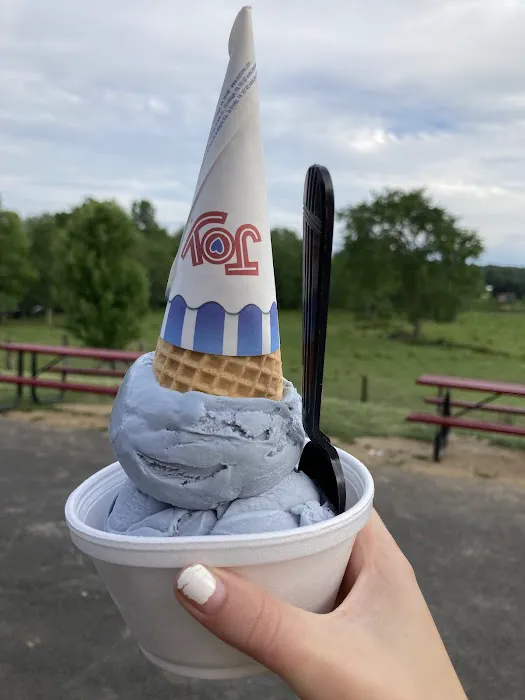 Rota Spring Ice Cream Picture 8