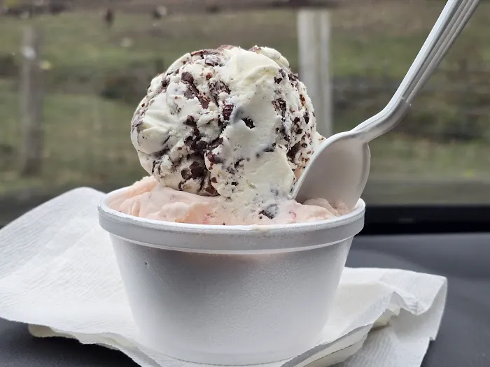 Rota Spring Ice Cream Picture 7
