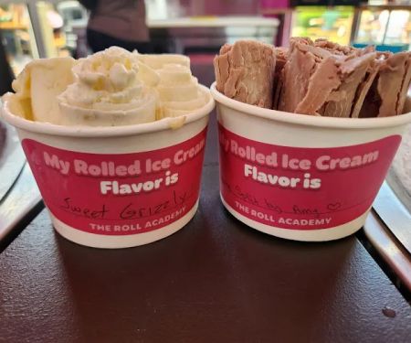 The Roll Academy by Rolled 4 Ever Ice Cream