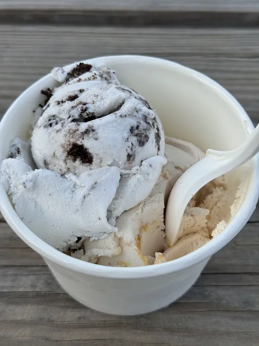 KOKOS Ice Cream Scoop Shop OneC1TY Picture 6