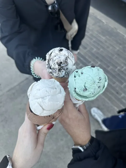 KOKOS Ice Cream Scoop Shop OneC1TY Picture 4