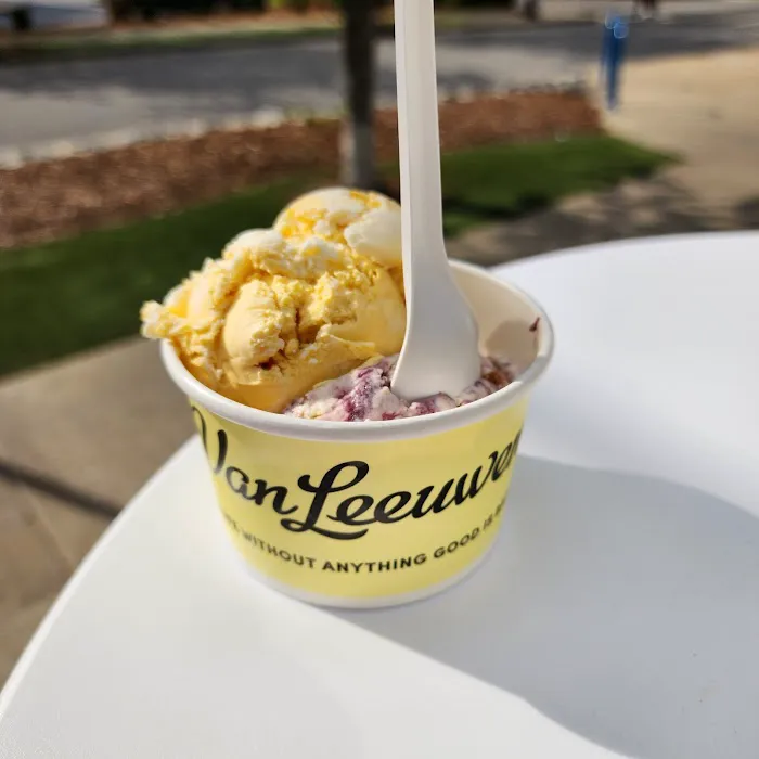 Van Leeuwen Ice Cream Picture 5
