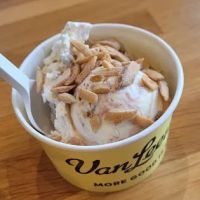 Van Leeuwen Ice Cream ico