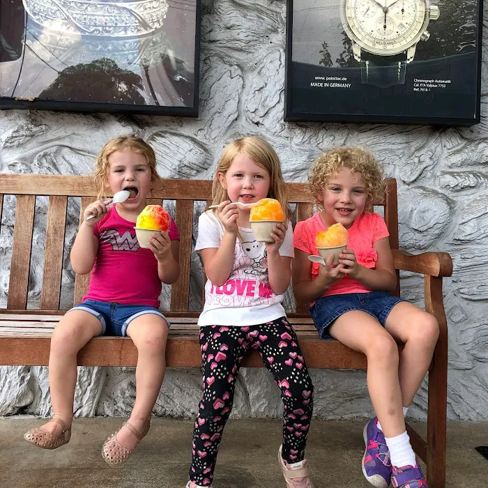 Blue Monkey Shaved Ice Picture 8