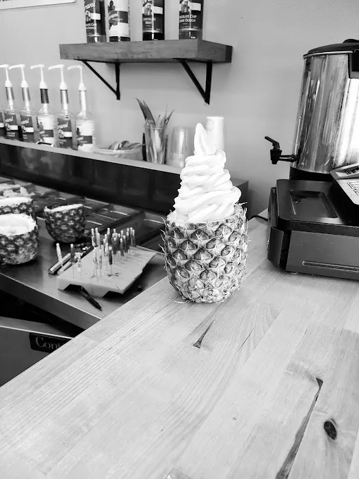 The Chillin Pineapple Picture 8