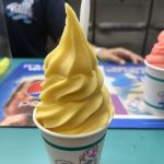 Polish Water Ice & Ice Cream