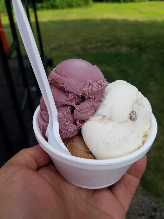 The Caboose Ice Cream Stand Picture 4