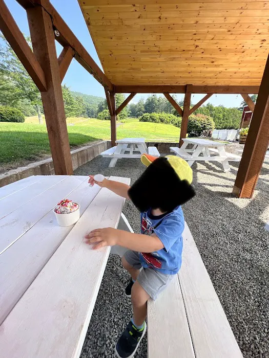 Two Sisters Ice Cream Picture 9