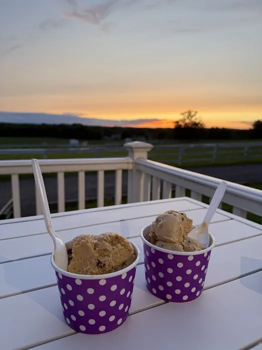 Hilltop Farm Store and Creamery Picture 4