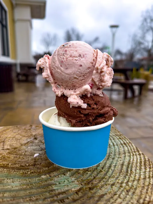 Blue Heron Creamery Picture 1