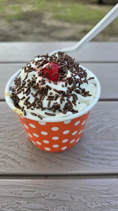 Tail Winds Ice Cream Picture 1
