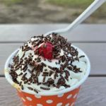 Tail Winds Ice Cream