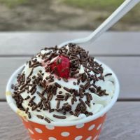 Tail Winds Ice Cream ico