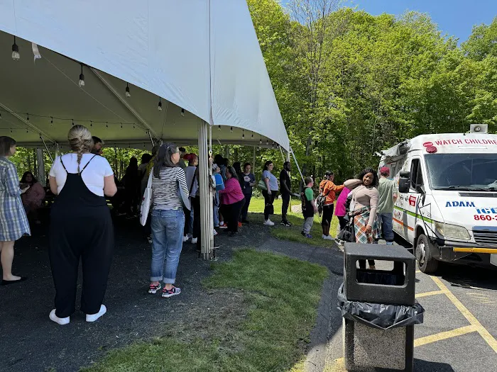 Adam-ice cream Truck and wholesaler supplier Picture 10