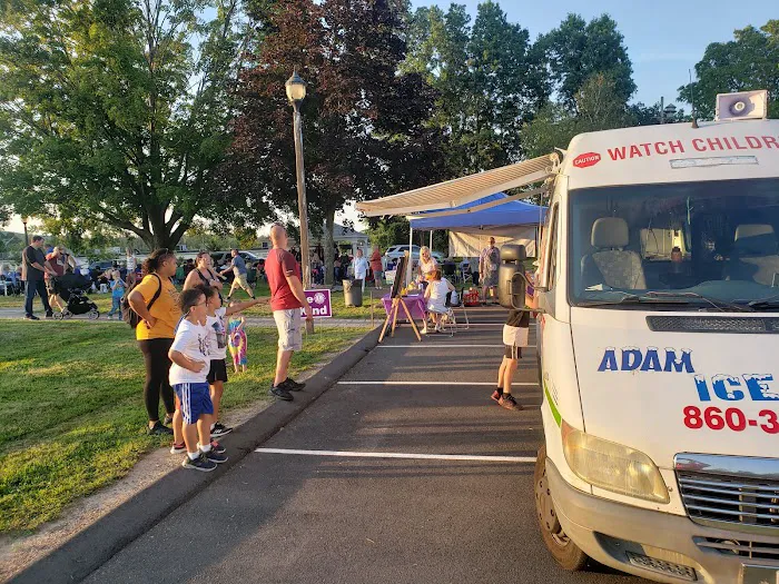 Adam-ice cream Truck and wholesaler supplier Picture 7